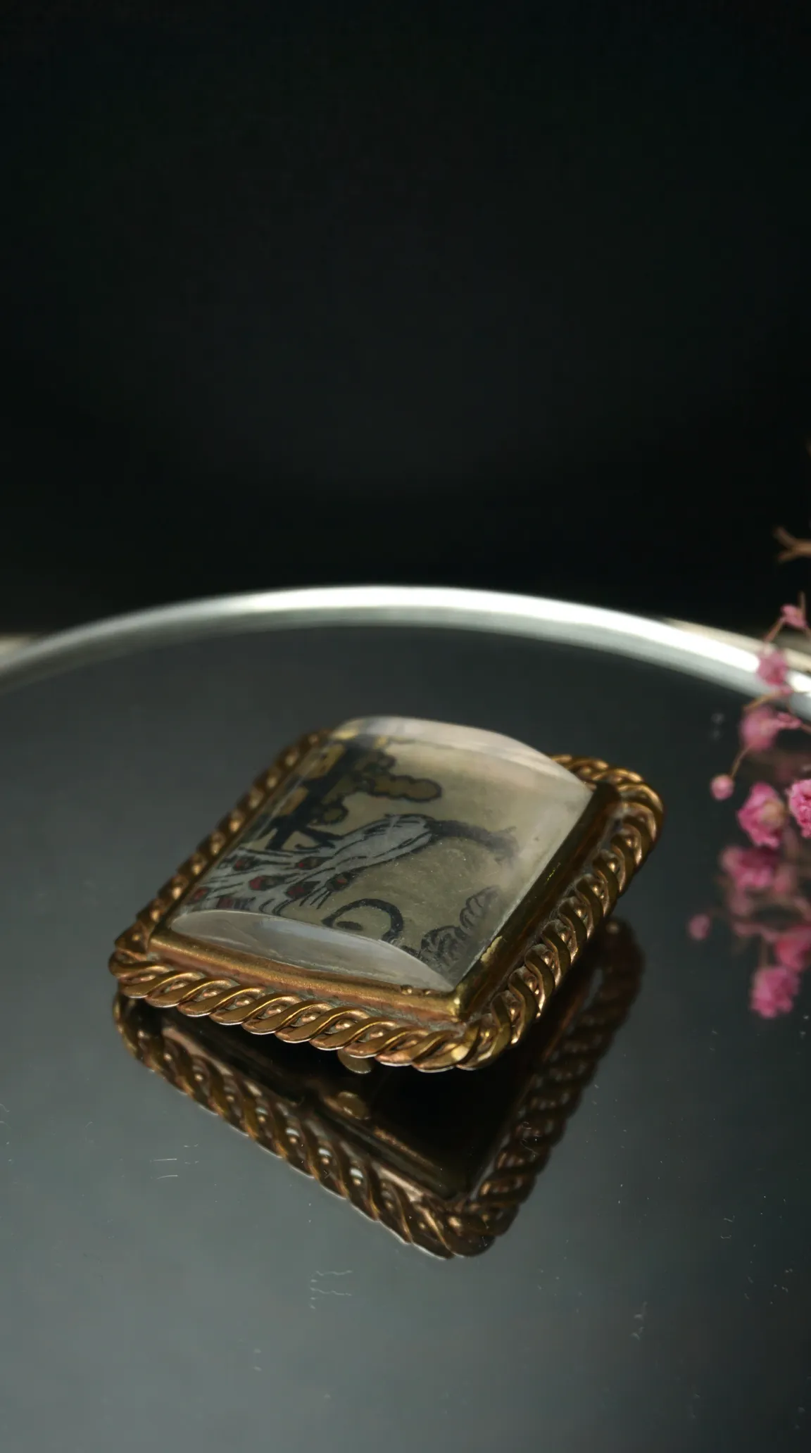 Vintage gold tone rectangular brooch with Art Nouveau style hand-painted bird illustration under clear dome, framed by twisted rope border, reflecting on dark surface.